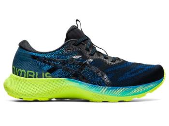 Asics Erkek GEL-NIMBUS LITE 2 Koşu Ayakkabısı TR894CY